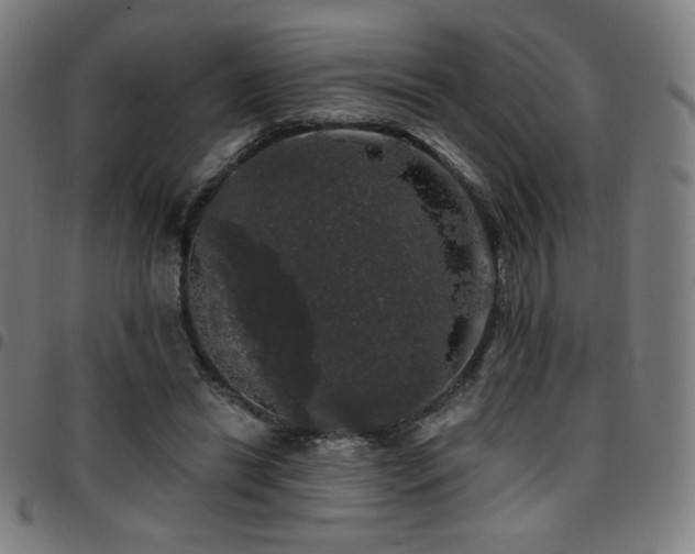 X0000097790446200803071416
