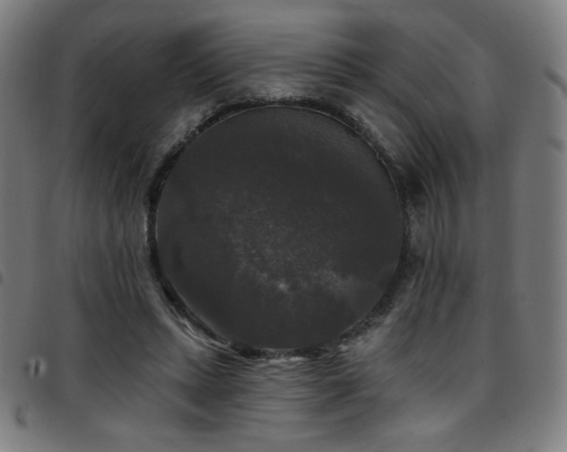 X0000097790447200803071416