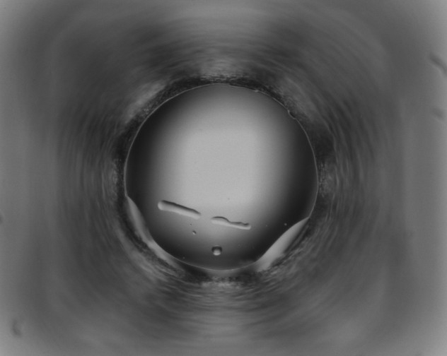 X0000097790448200803071416
