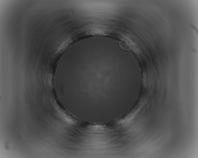 X0000097790449200803071416