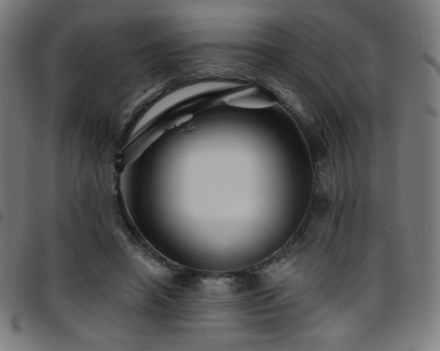 X0000097790450200803071416
