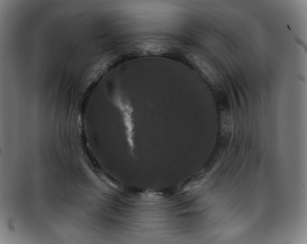 X0000097790451200803071416