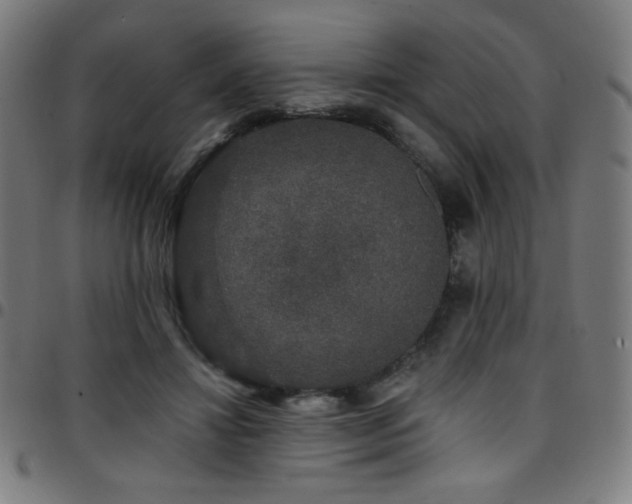 X0000097790452200803071416