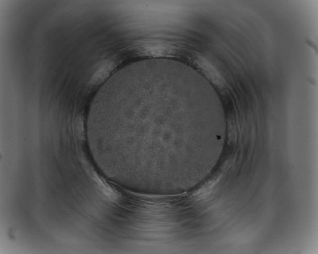 X0000097790453200803071416