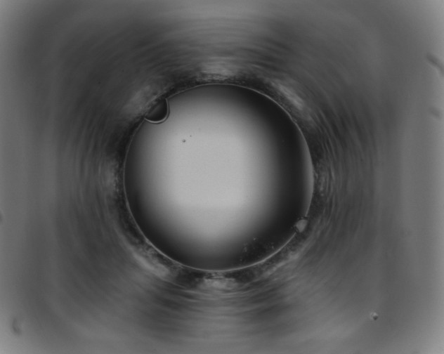 X0000097790455200803071416