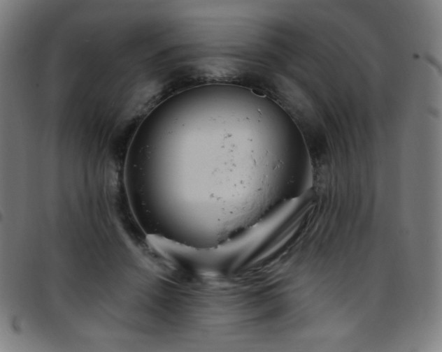 X0000097790456200803071416