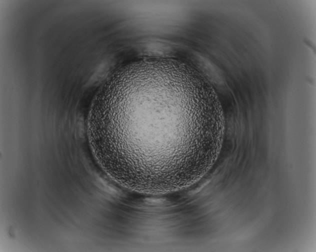 X0000097790457200803071416
