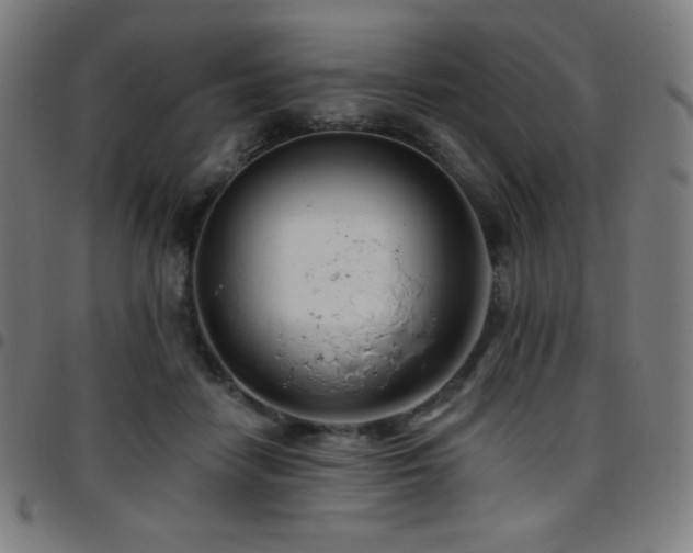 X0000097790458200803071416