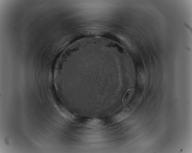 X0000097790459200803071416