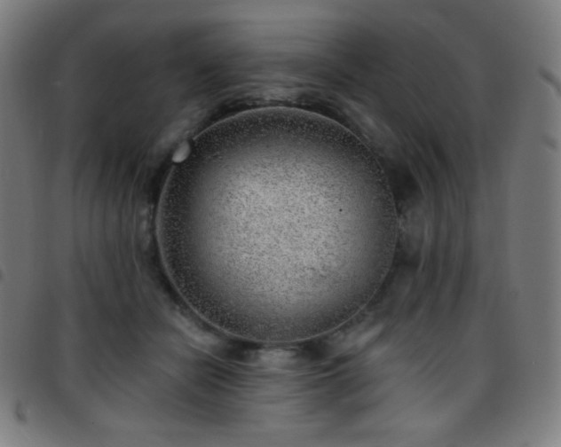 X0000097790462200803071416