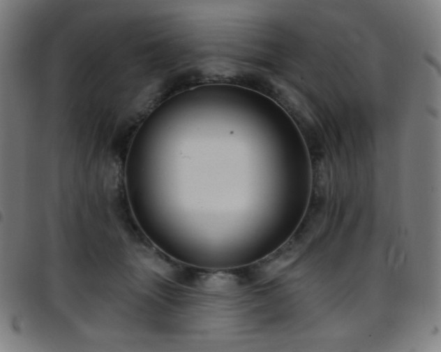 X0000097790463200803071416