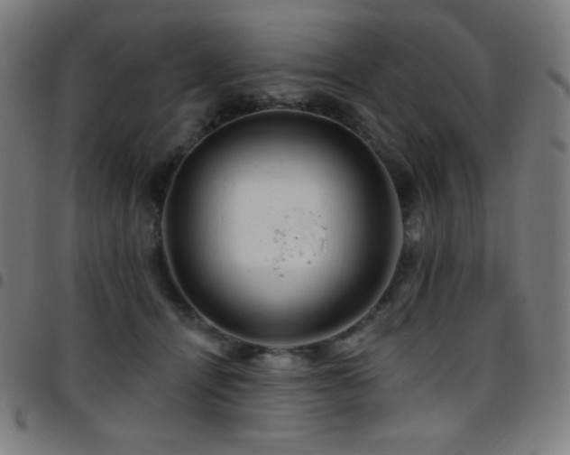 X0000097790464200803071416