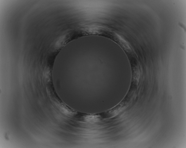 X0000097790465200803071416