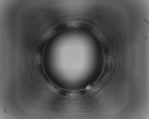X0000097790466200803071416