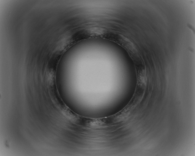X0000097790468200803071416