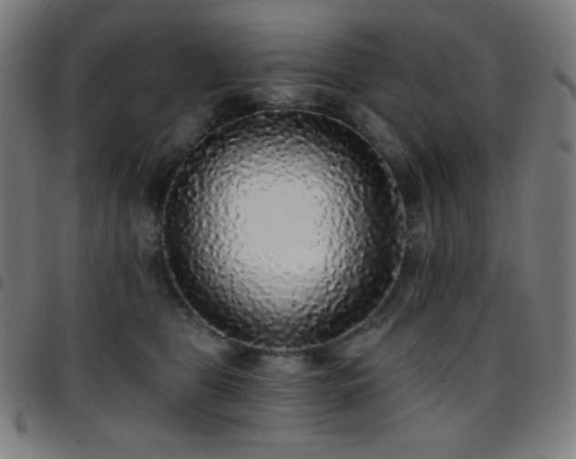 X0000097790469200803071416