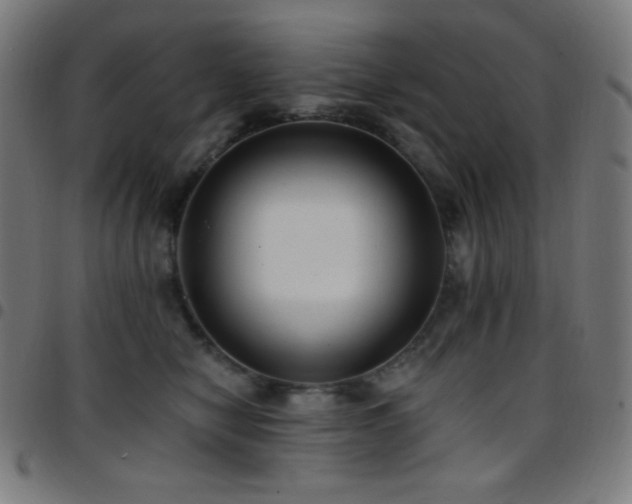 X0000097790470200803071416