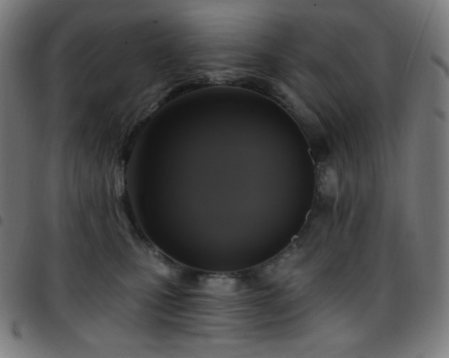 X0000097790471200803071416