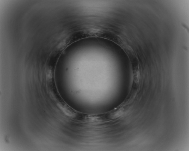 X0000097790472200803071416