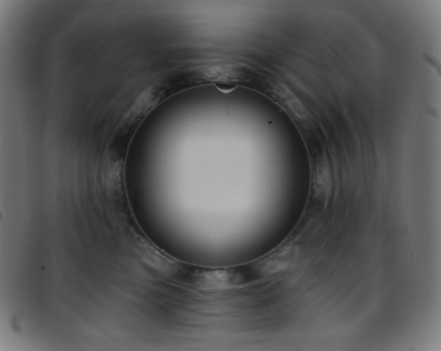 X0000097790473200803071416