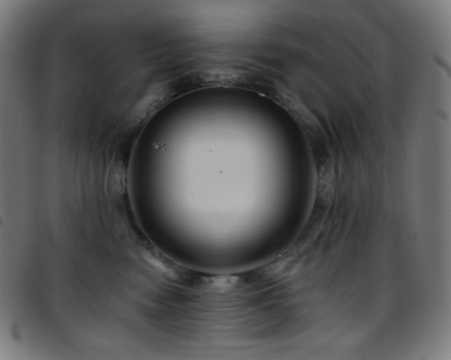 X0000097790474200803071416