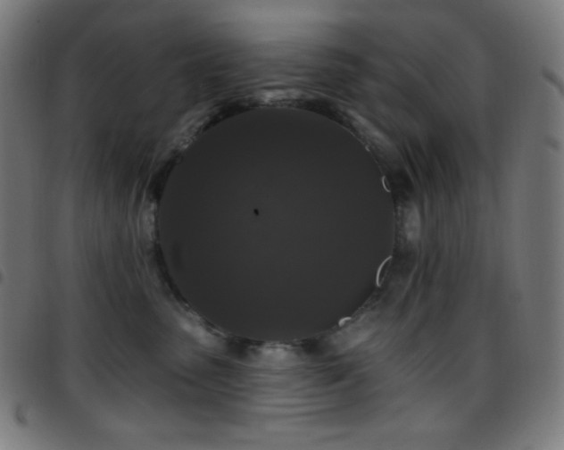 X0000097790475200803071416