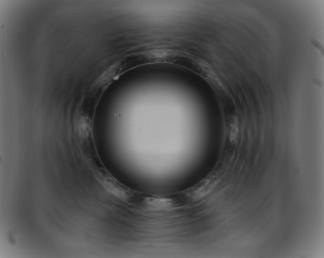 X0000097790476200803071416