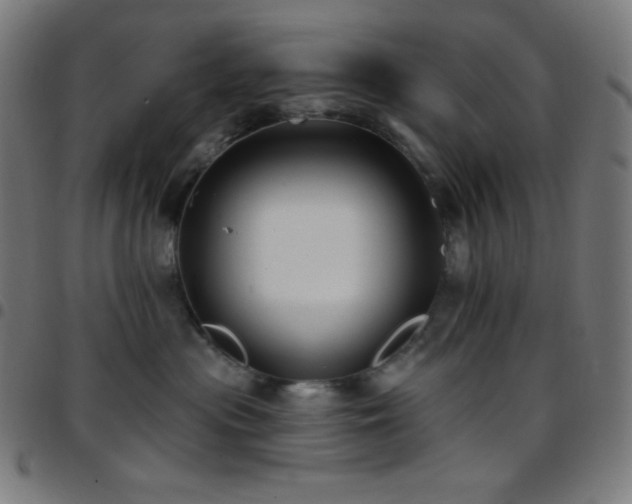 X0000097790477200803071416