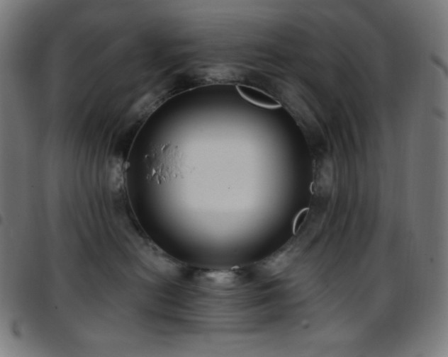X0000097790478200803071416