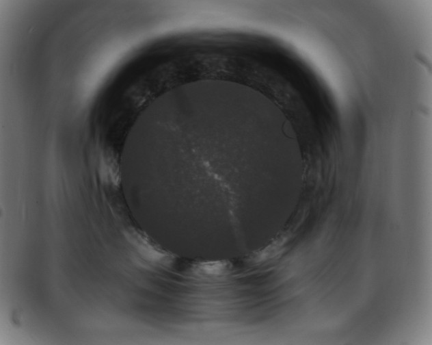X0000097790479200803071416