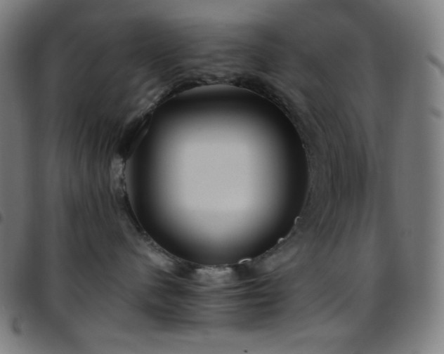X0000097790480200803071416