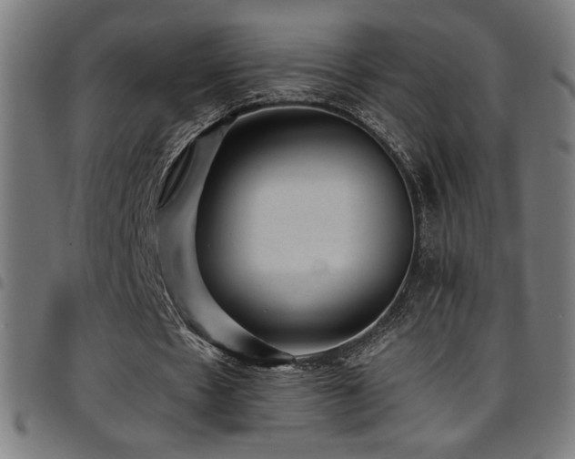 X0000097790481200803071415