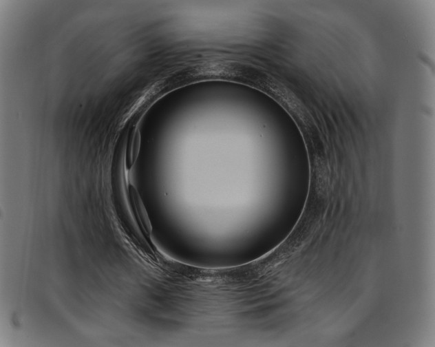 X0000097790482200803071415
