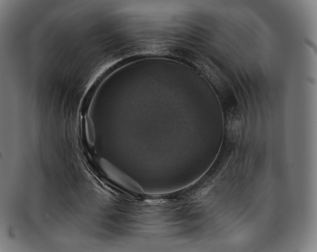 X0000097790484200803071415