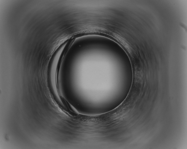 X0000097790485200803071415