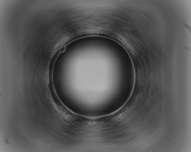 X0000097790486200803071415