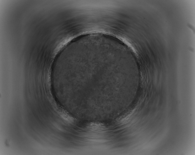 X0000097790487200803071415