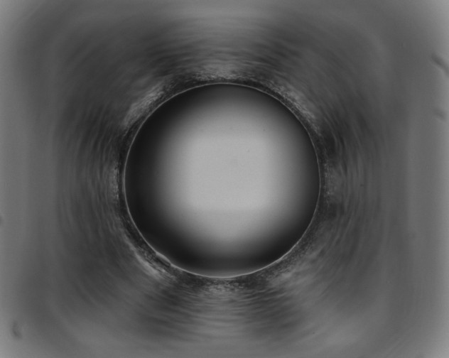 X0000097790489200803071415