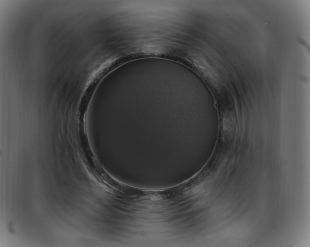 X0000097790492200803071415