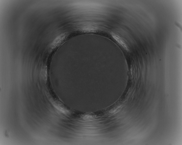 X0000097790494200803071415