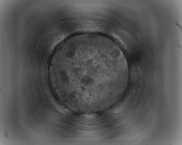 X0000097790495200803071415