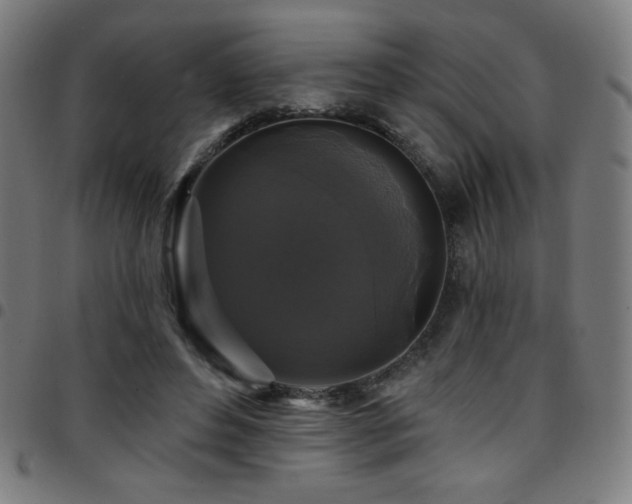 X0000097790496200803071415