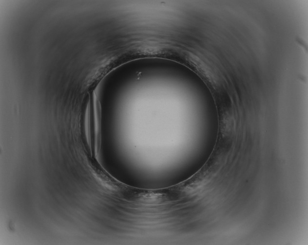 X0000097790497200803071415