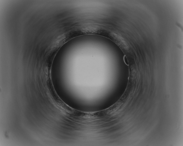 X0000097790498200803071415