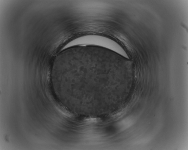 X0000097790499200803071415