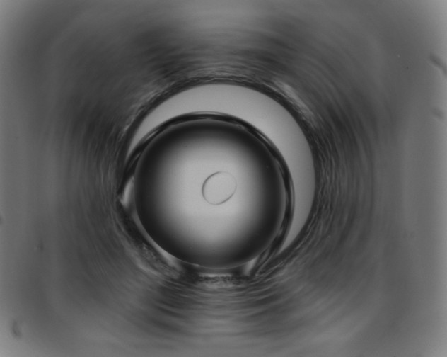 X0000097790500200803071415
