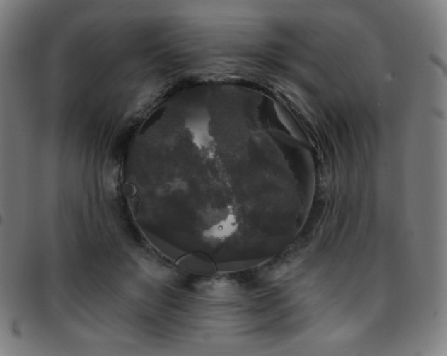 X0000097790503200803071415
