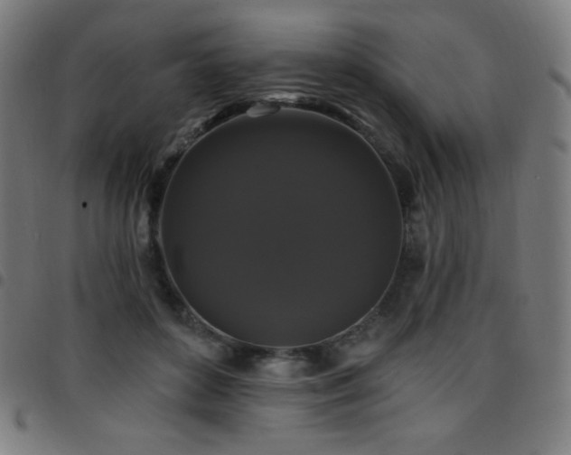 X0000097790504200803071415