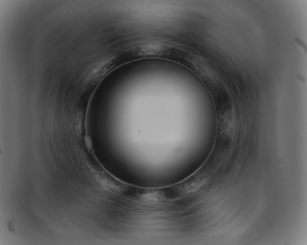 X0000097790505200803071415