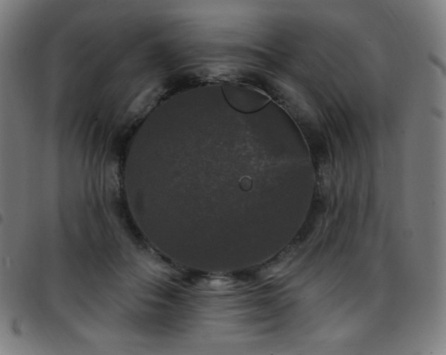 X0000097790506200803071415